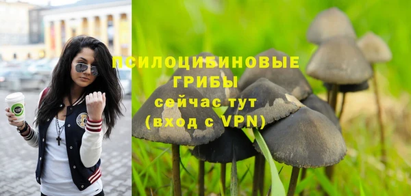 гашик Михайловка