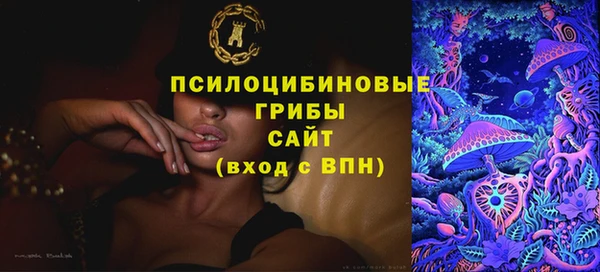 гашик Михайловка