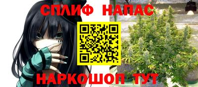 гидропоника Гатчина